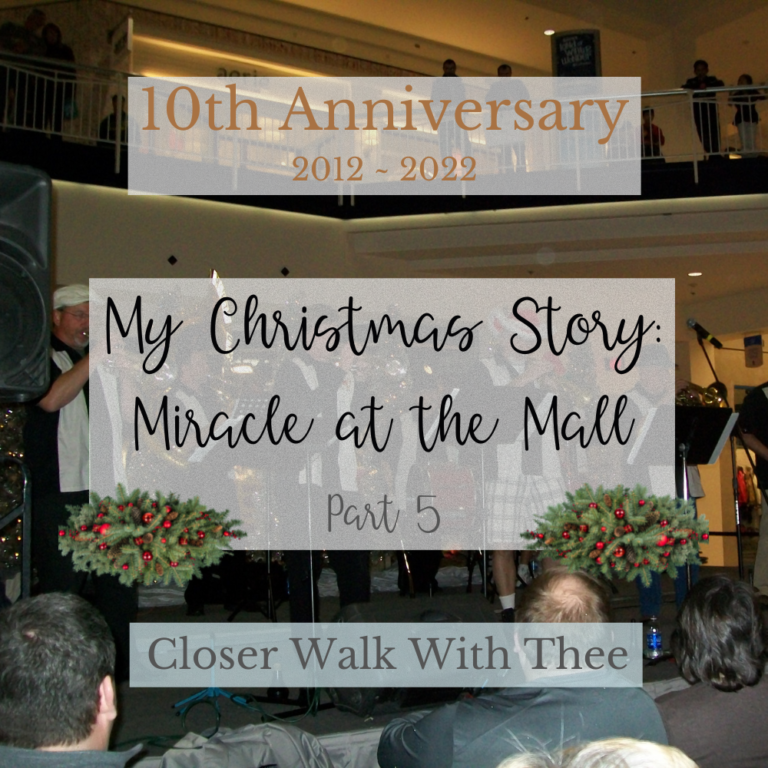 My Christmas Story: Miracle at the Mall – Pt.5