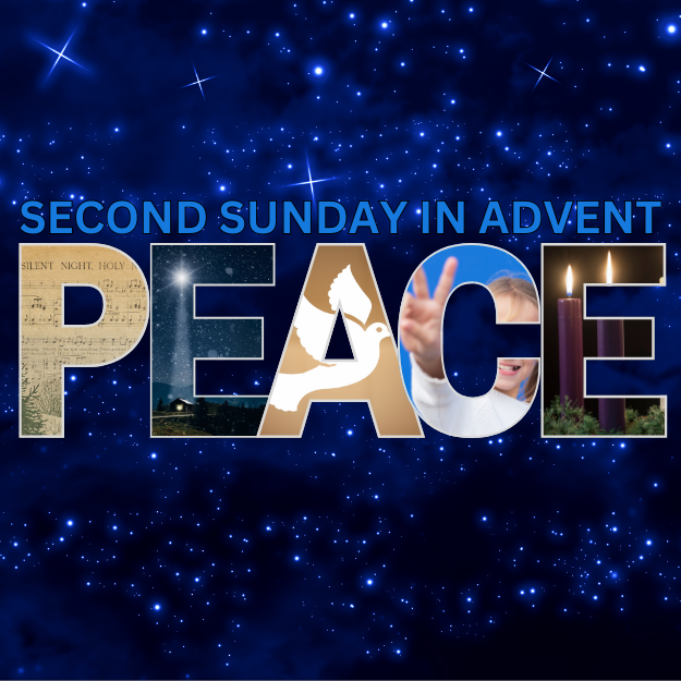 Advent 24 – PEACE